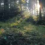 Friedrichshoehe - Sauna, Pool & 3*