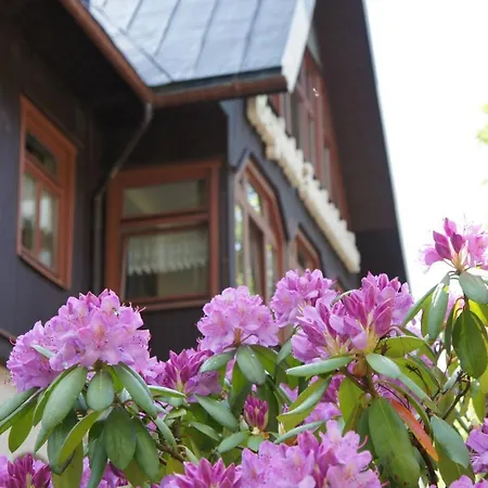 Friedrichshoehe - Sauna, Pool & Altenberg (Montes Metalíferos)