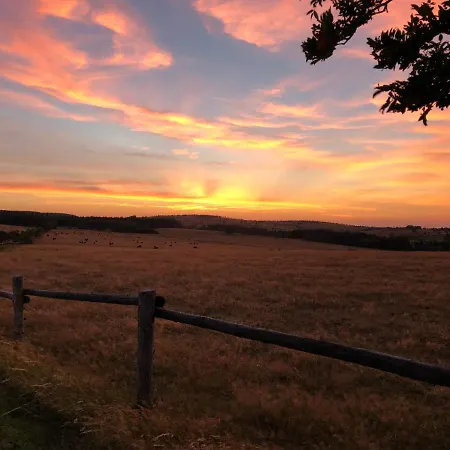 Friedrichshöhe Hotel
