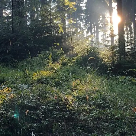 Friedrichshöhe 3*