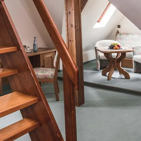 فندق Friedrichshoehe - Sauna, Pool & 3*