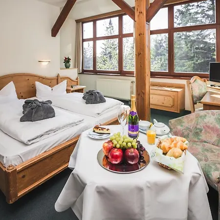 Hotel Friedrichshoehe - Sauna, Pool & Altenberg (Montes Metalíferos)