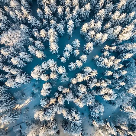 Friedrichshoehe - Sauna, Pool &