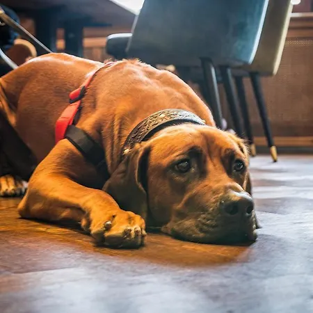 Friedrichshoehe - Sauna, Pool &