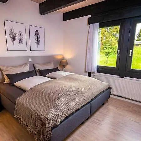 Friedrichshoehe - Sauna, Pool & Altenberg (Krušné hory)