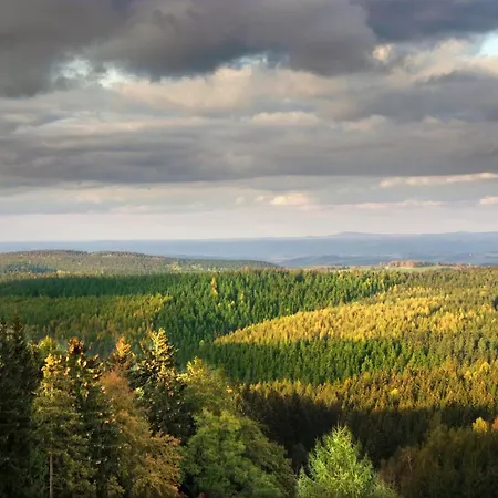 Hotel Friedrichshöhe Altenberg (Erzgebirge)