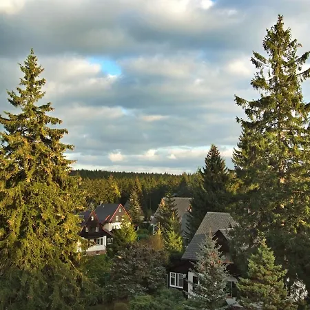 Hotel Friedrichshoehe - Sauna, Pool &