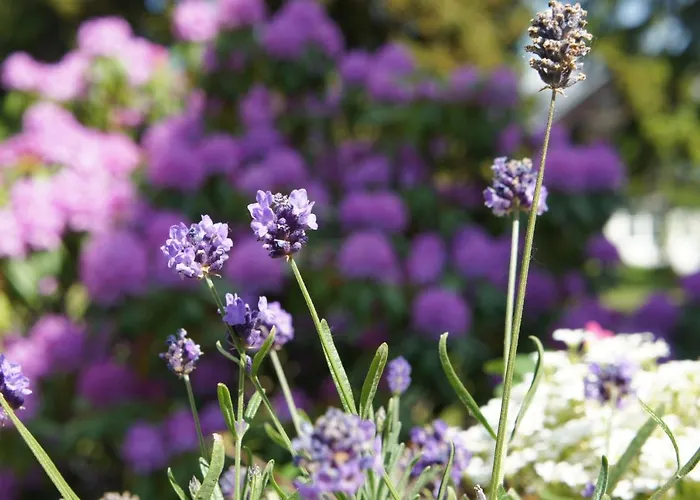 Friedrichshoehe - Sauna, Pool & Hotel 3*