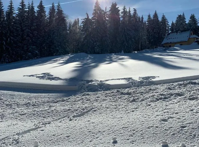 Hotel Friedrichshoehe - Sauna, Pool & Altenberg