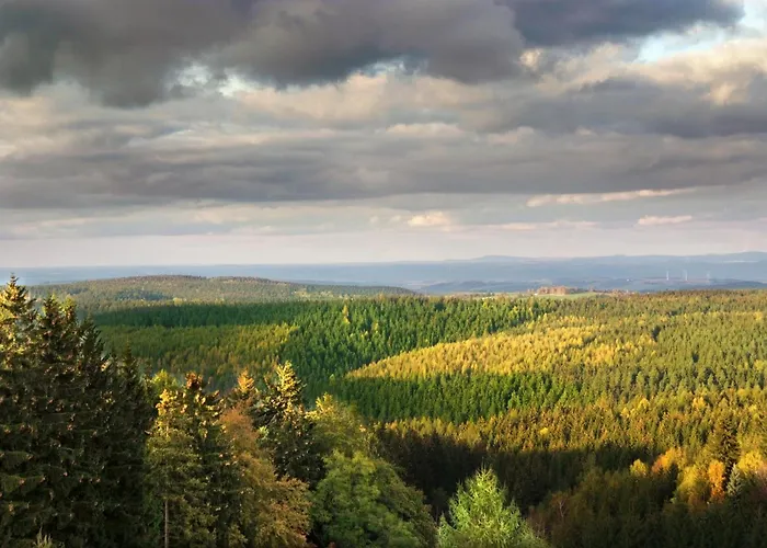 Hotel Friedrichshoehe - Sauna, Pool & Altenberg